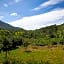Oaxaca Jungle Cabins