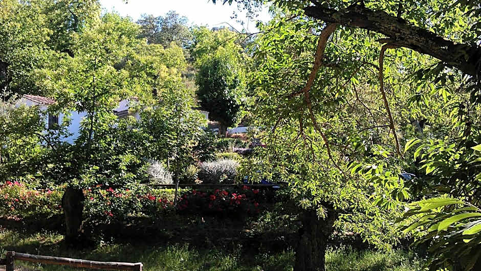 Finca Valbono Apartamentos Rurales y Hotel