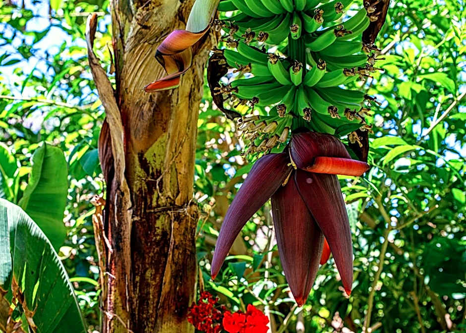 Hotel Emblemático San Marcos