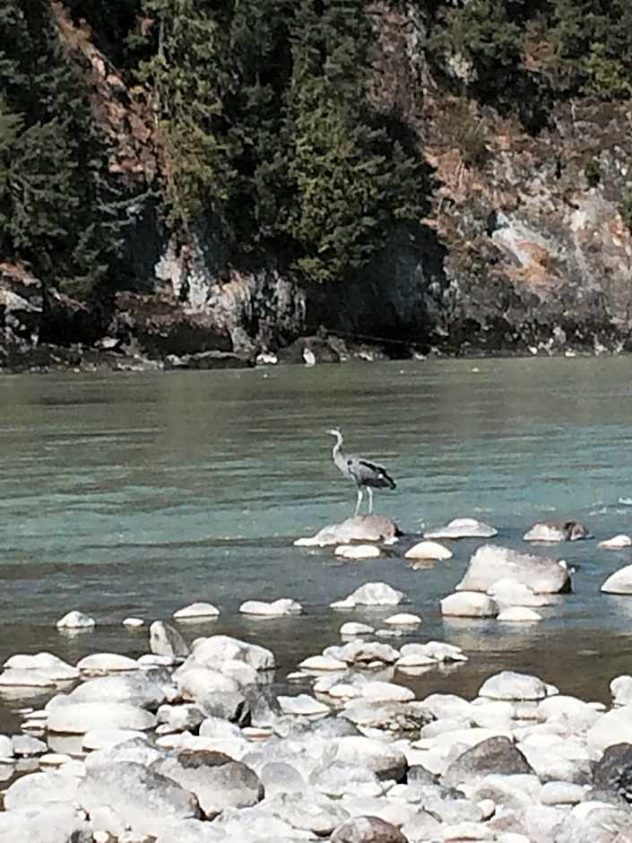 Evergreen Bed & Breakfast