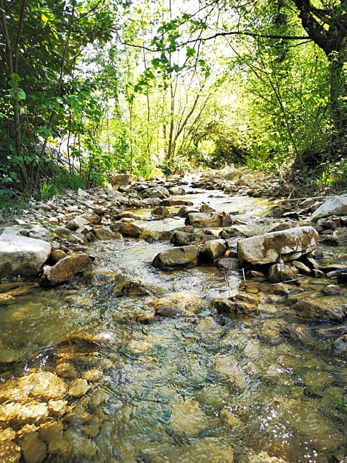 L'étang de la Tourne