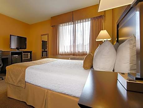 1 King Bed Non-Smoking Pet Friendly Room Microwave And Refrigerator Wi-Fi Full Breakfast