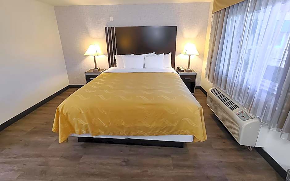 Photo 1 of 4 of Deluxe 1 King Bed with Sofabed Suite