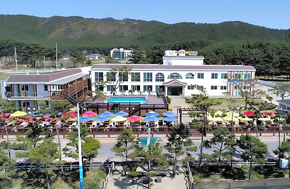 Hotel Mallipo