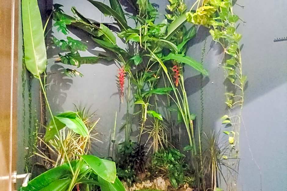 RedDoorz Syariah @ Kiapma Hotel