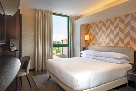 King Superior Room