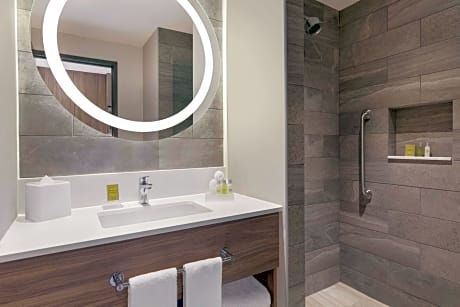 1 Queen Bed Studio Suite Nonsmoking