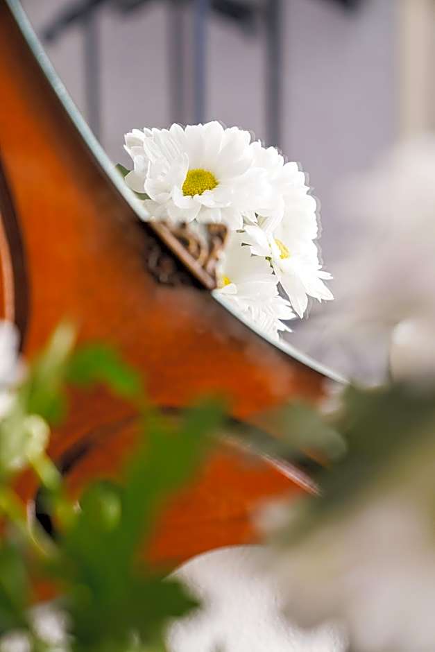 B&B Università