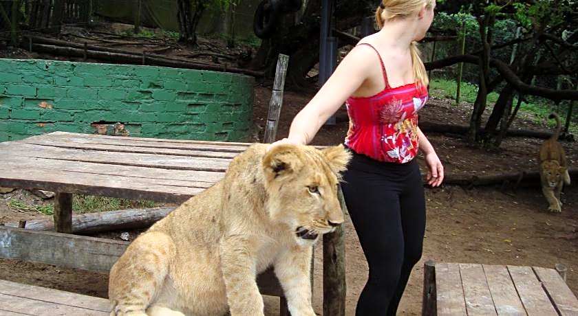 Jikeleza International Backpacker Lodge