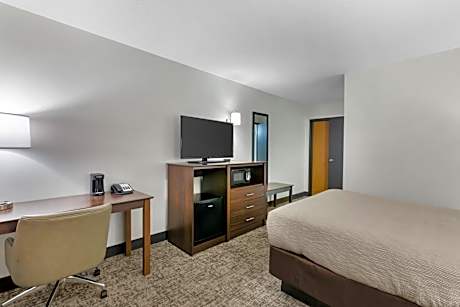 Queen Room - Non-Smoking