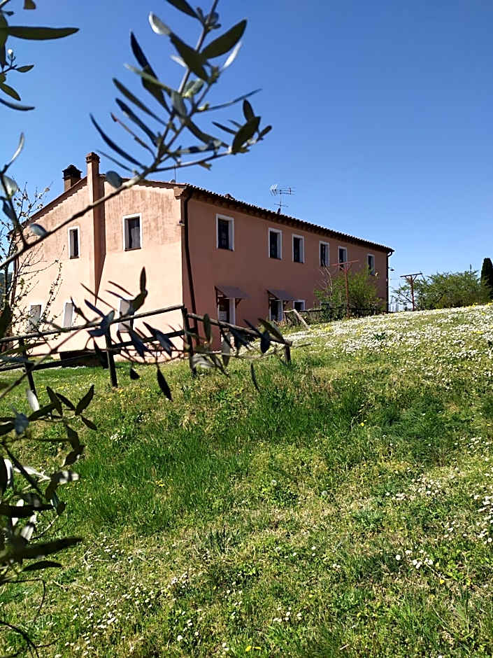 Antonella House -Podere della Collina