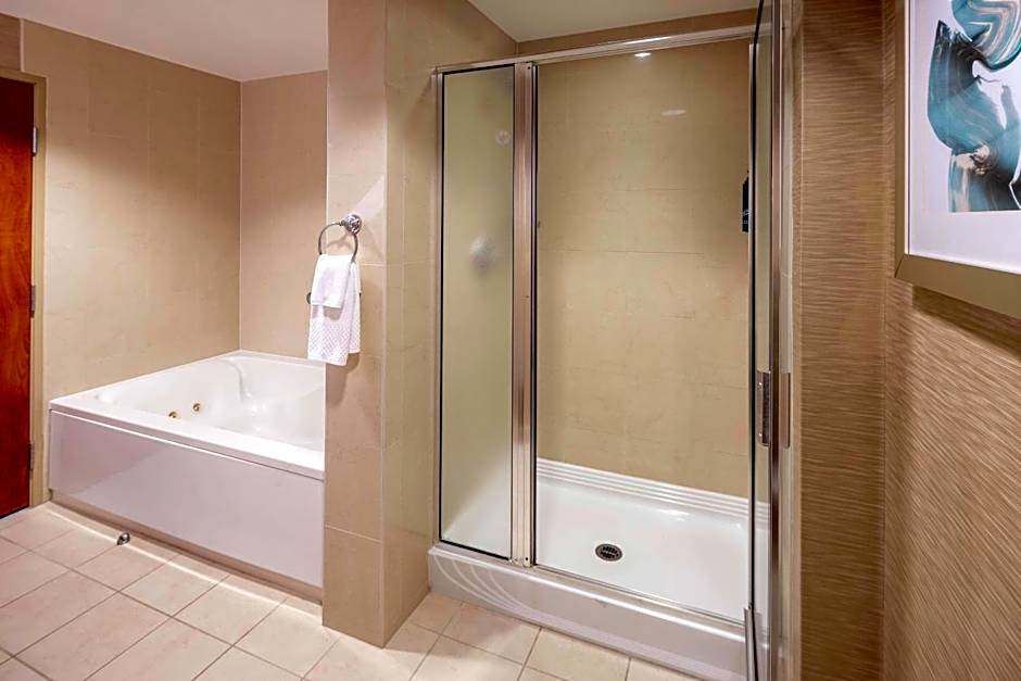 Hilton St. Petersburg Carillon Park