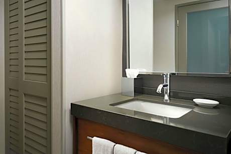 King Room with Roll-in Shower - Mobility and Hearing Accessible