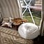 Glamping @ Pebbles & Fins