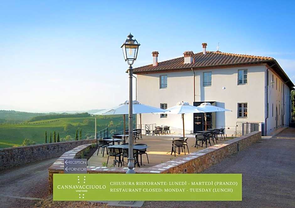 Laqua Vineyard