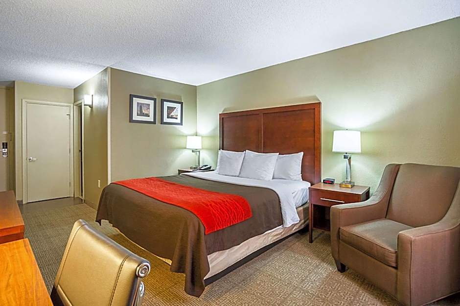 Comfort Inn Downtown