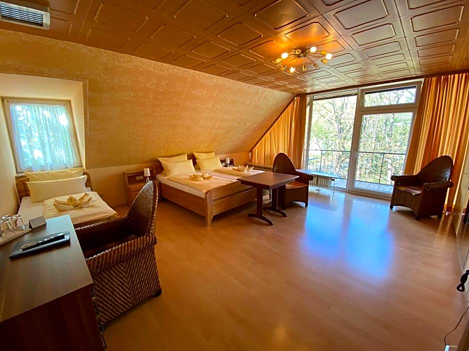 Heidekonig Hotel Celle