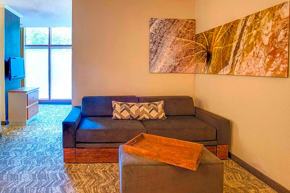 SpringHill Suites by Marriott Lawrence Downtown