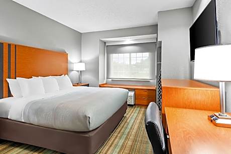 1 King Bed, Nonsmoking, Accessible