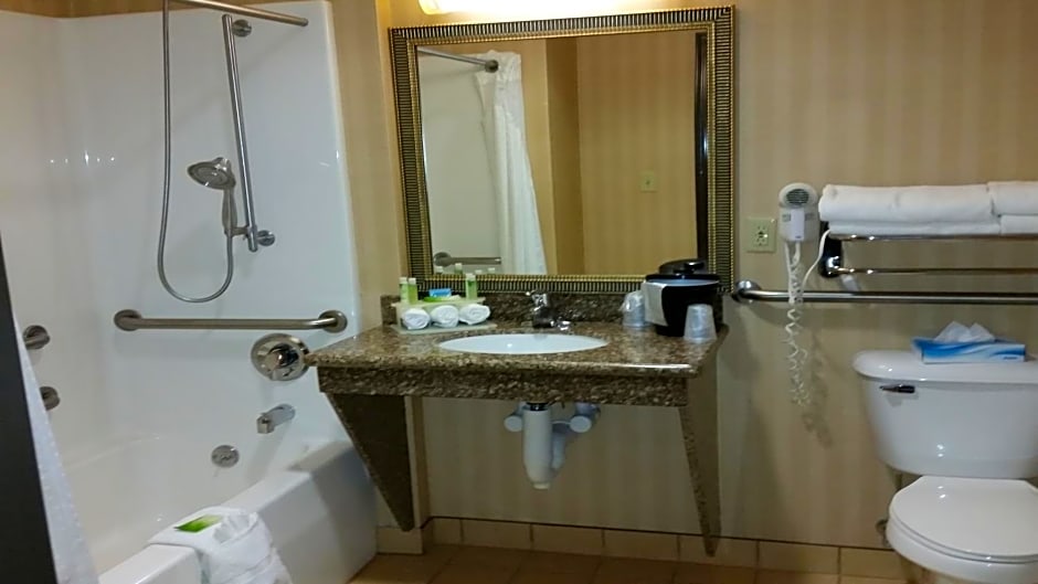 Holiday Inn Express & Suites New Buffalo, MI by IHG