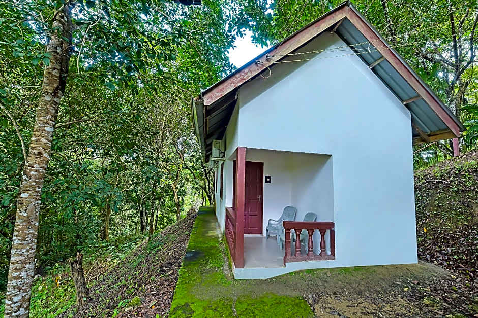 OYO 90675 Holiday View Inn – Kuala Tahan, 