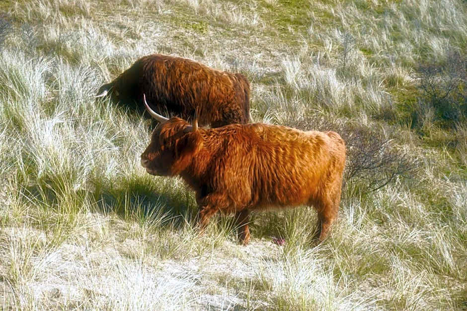 Bed and Breakfast Kik en Bun