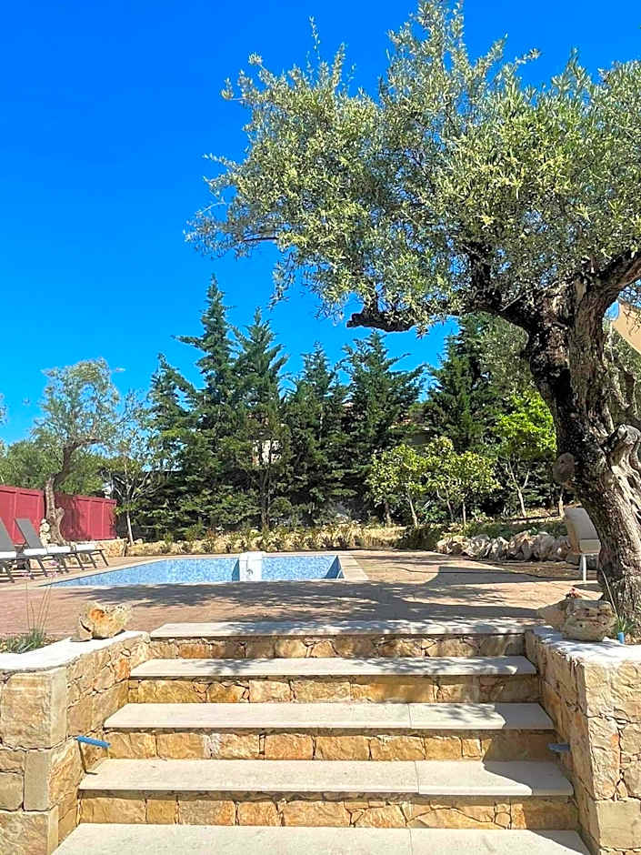 Nissi Collection Rooms