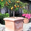 Il Poggiolo Delle Rose Bed&Breakfast
