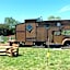 Wacky Stays - unique farm-stay glamping rentals, FREE animal feeding tours