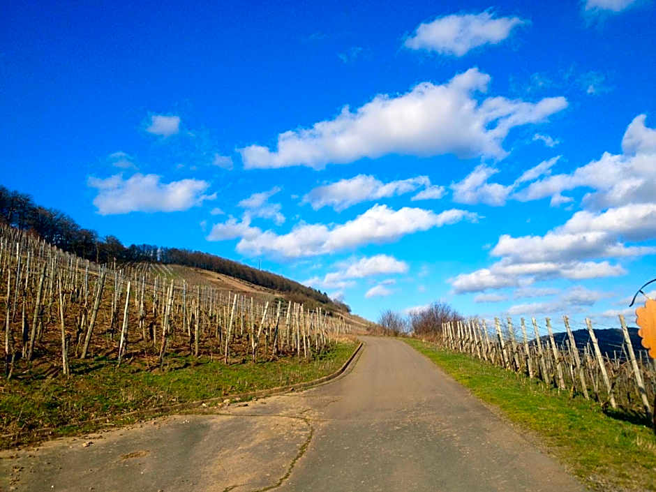 Hotel Weingut Dehren