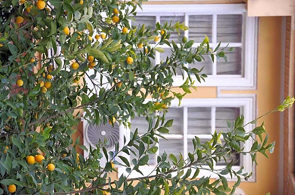Antikhan Hotel
