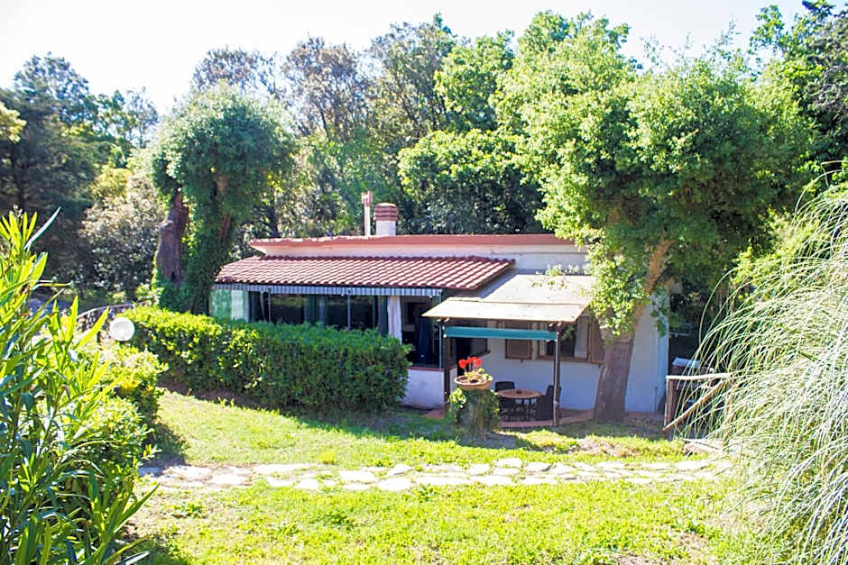 Residence Oasis