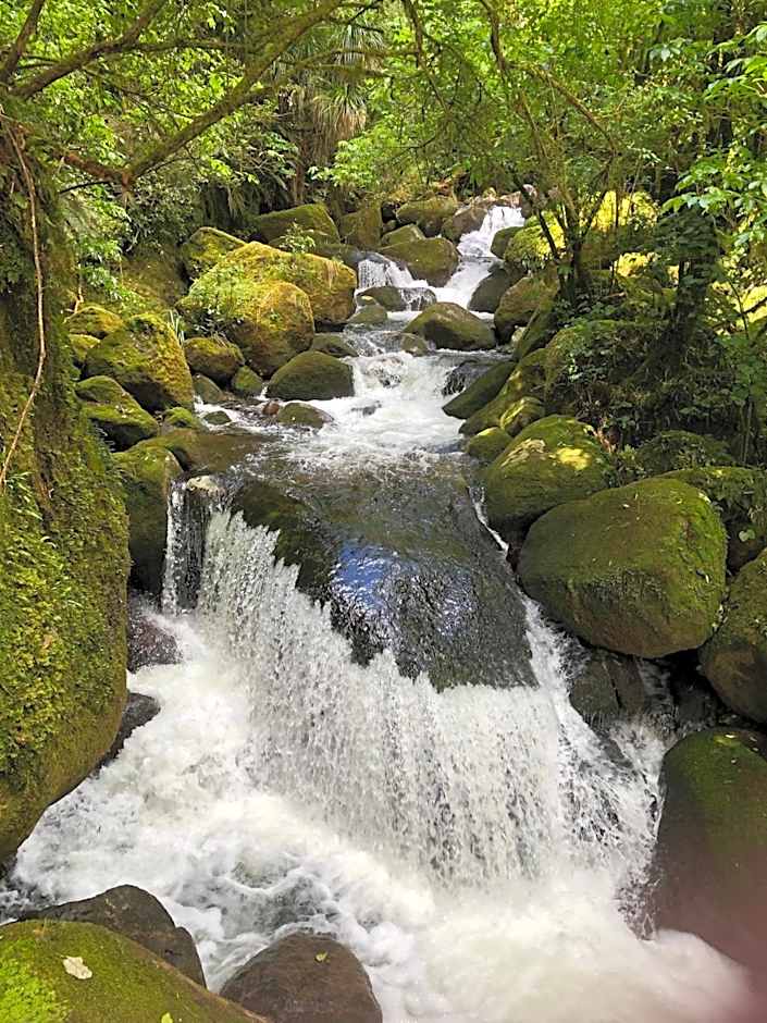 Cosy Country Stay B&B