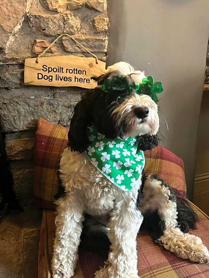 Kings Head - Riverside, Ravenstonedale