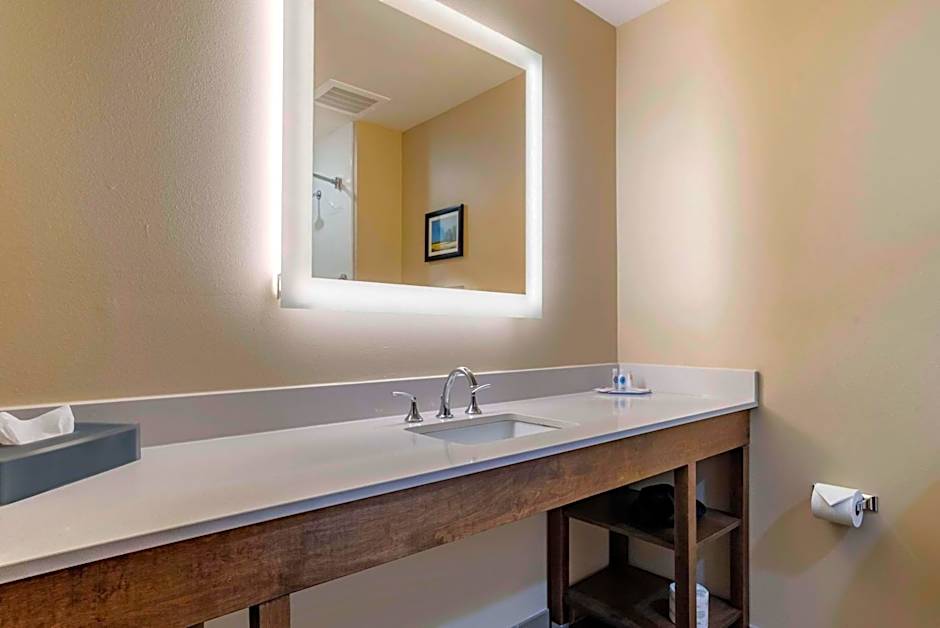 Comfort Inn & Suites Downtown near University