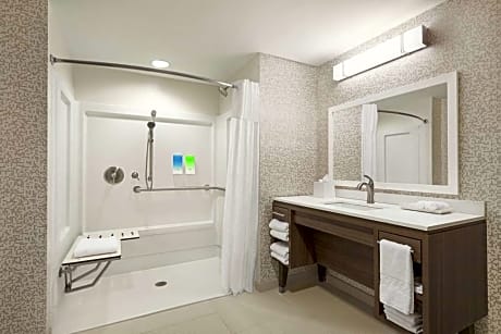 1Queen Accessible Roll In Shower Suite Nosmok