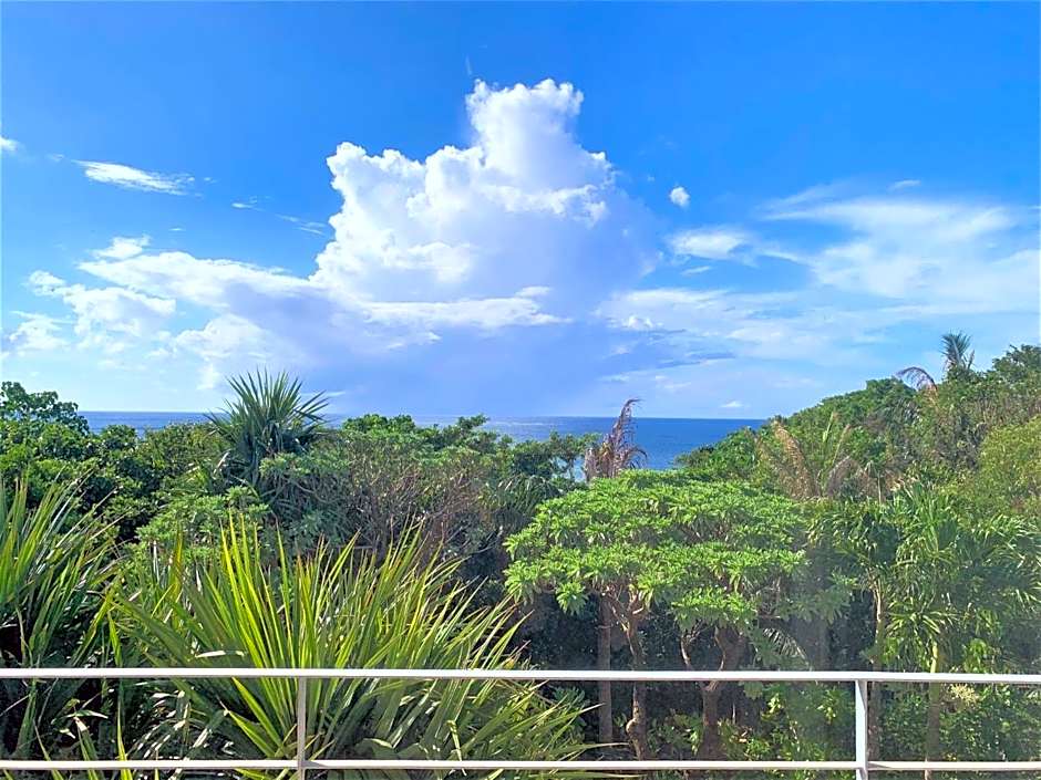 Blue cave Blue in Green - Vacation STAY 31673v