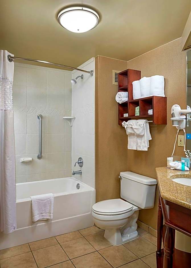 Hampton Inn By Hilton Tuscaloosa-University