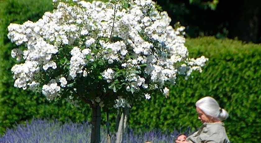 Bergerie de la Moutonniere