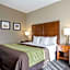 Comfort Inn Garden City