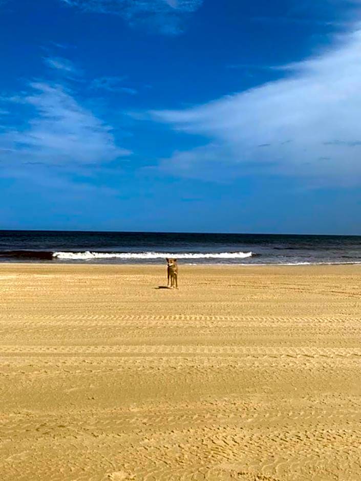 Flashpackers Hervey Bay Hostel