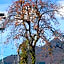 HOSTEL MICHIKUSA-YA