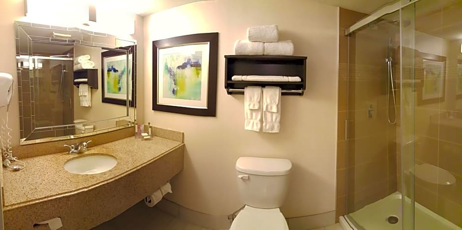 Holiday Inn & Suites Syracuse Airport - Liverpool, an IHG Hotel