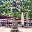Number15 Guesthouse Carcassonne