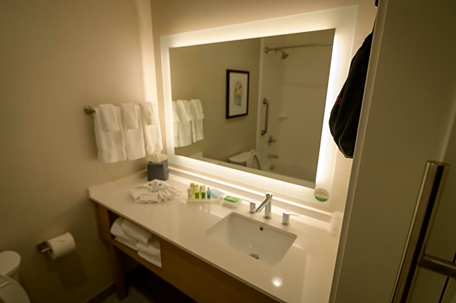 Holiday Inn & Suites Houston NW - Willowbrook By IHG