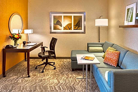 Queen Suite with Sofa Bed - Hearing Accessible