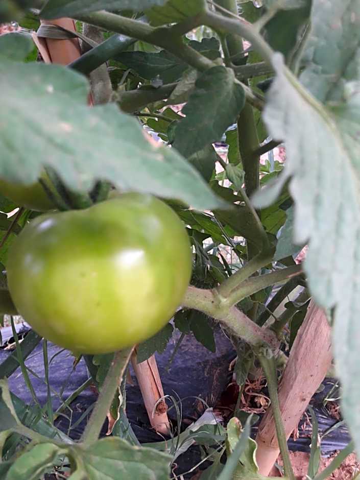 d'hôte Jnane-Dar Diafa