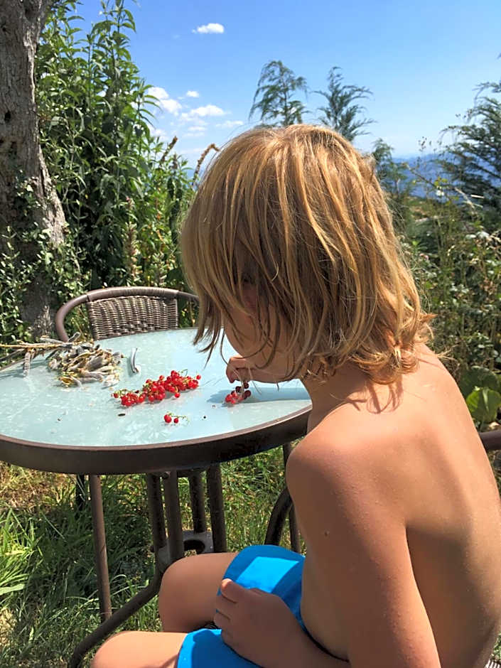 Mountain Log Cabin O Lobo