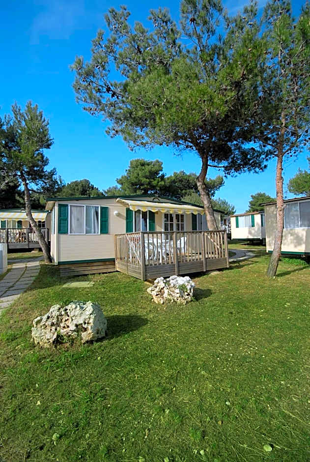 Arena Indije Mobile Homes