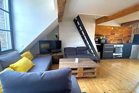 Beau T2 caractère Vieux Lille ! Matheo